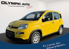 Bild des Angebotes Fiat Panda 1.0 GSE Hybrid  PARKSENSOREN KLIMA GRA DAB