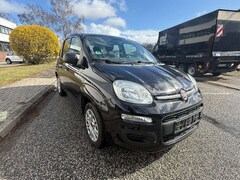 Bild des Angebotes Fiat Panda 1.2 8V Easy KLIMA SERVO ZAHNRIEMEN NEU