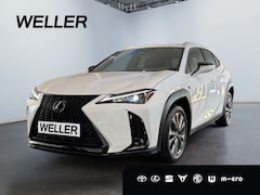 Lexus UX 300h F-Sport Design *LED*Kamera