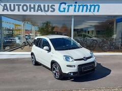 Bild des Angebotes Fiat Panda Panda/Pandina 1.0 GSE Hybrid Sport "Alu, Carplay"