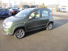 Bild des Angebotes Fiat Panda Panda Rock 4 x 4 Klimaautomatic Alu 2 Hand