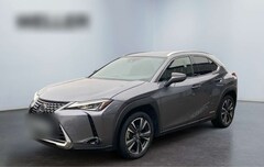 Bild des Angebotes Lexus UX 250h Style Edition *Bi-LED*ACC*Kamera*SHZ*CarPlay*