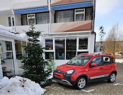 Bild des Angebotes Fiat Panda 1.2 City Cross
