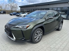 Bild des Angebotes Lexus UX 300e ACC-Belü.Sitze-Memory-Leder-Kamera-17Z