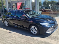 Toyota Camry Camry Executive Hybrid Allwetter