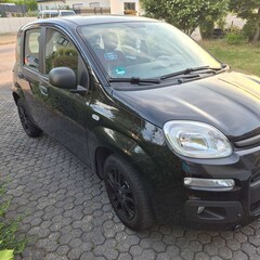 Bild des Angebotes Fiat New Panda Easy
