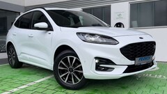 Bild des Angebotes Ford Kuga Plug-In Hybrid ST-Line X mit Top Ausstattung
