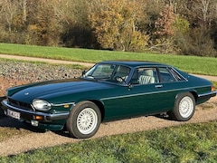 Bild des Angebotes Jaguar XJS XJS V12 Le Mans Edition