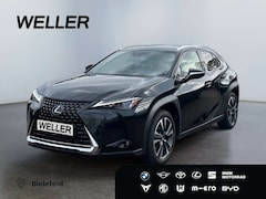 Bild des Angebotes Lexus UX 250h Executive Line *Bi-LED*GSD*RCam*SHZ*ACC*