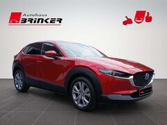Bild des Angebotes Mazda CX-30 Selection 2WD Rückfahrkamera ACC