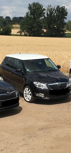 Bild des Angebotes Skoda Fabia Family