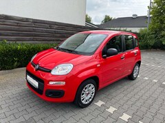Bild des Angebotes Fiat Panda Easy Klima EL.Fenster Allwetterreifen15TKm