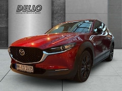 Bild des Angebotes Mazda CX-30 Homura 2.5 Sitzheizung Navi Aut. Kamera ACC HUD So