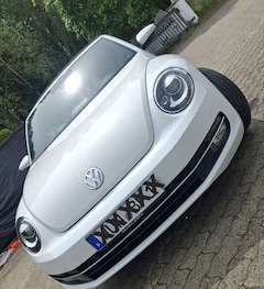 Bild des Angebotes VW Beetle Cup