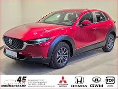 Bild des Angebotes Mazda CX-30 2WD+HUD+Allwetter+AHK-abnehmbar+Lederlenkrad+Einpa