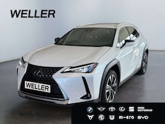 Bild des Angebotes Lexus UX 250h Style Edition *Bi-LED*ACC*CAM*SHZ*CarPlay*