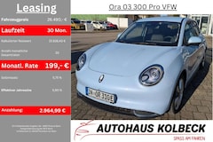 Bild des Angebotes GWM ORA 03 300 Pro