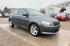 Bild des Angebotes Skoda Fabia Enjoy-Paket Sportsitze Sport Lenkrad