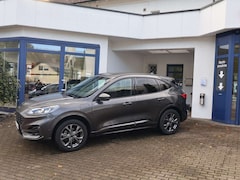 Bild des Angebotes Ford Kuga Plug-In Hybrid ST-Line