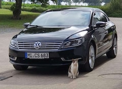Bild des Angebotes VW CC Basis BMT