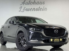 Bild des Angebotes Mazda CX-30 Basis2WD*360°Kamera*SH-ASSISTENT*BOSE*H-UP