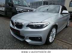 Bild des Angebotes BMW 228 i Cabrio M Sport Paket Leder