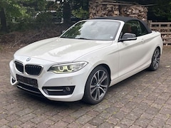 Bild des Angebotes BMW 228 i Sport Line Cabrio LederRot NAVIPROF