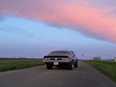 Bild des Angebotes Ford Maverick