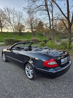 Bild des Angebotes Mercedes-Benz CLK 350 Cabrio 7G-TRONIC Avantgarde Sport Edition