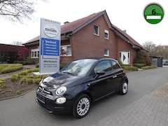Bild des Angebotes Fiat 500 Cabrio 1.0 Mild Hybrid Lounge S&S TEMP CARPL