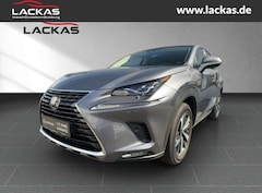 Bild des Angebotes Lexus NX 300 h Luxury 4x4 Panorama