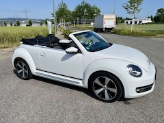 Bild des Angebotes VW Beetle Cup BMT