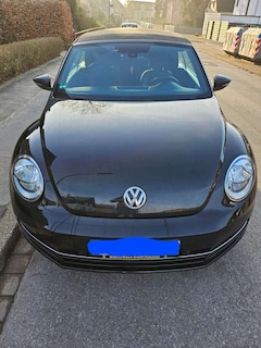 Bild des Angebotes VW New Beetle New Beetle 1.6 Automatik United