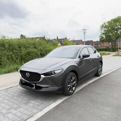 Bild des Angebotes Mazda CX-30 Homura 2WD