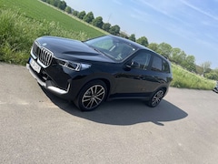 Bild des Angebotes BMW iX1 xDrive30 AHK Head Up