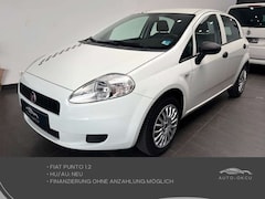 Bild des Angebotes Fiat Punto 1.2 5 TÜRIG/Klima /Navi /ALLWETTER /HU:NEU