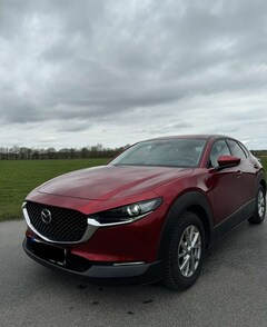 Bild des Angebotes Mazda CX-30 2.0 SKYACTIV-X M-Hybrid Edition 100 Automati