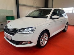 Bild des Angebotes Skoda Fabia Clever 1.0 TSI *ACC*SHZ*PDC*ALU*LED*