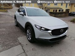 Bild des Angebotes Mazda CX-30 2.5L e-SKYACTIV G Automatik Exclusive