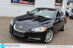 Bild des Angebotes Jaguar XF 3.0 V6 Premium Luxury Leder=Xenon=Navi=e.HGSD