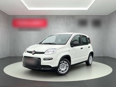 Bild des Angebotes Fiat Panda 1.0 Mild Hybrid/PDC/Start&Stopp/Nebelscheinwerfer