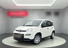 Bild des Angebotes Fiat Panda 1.0 Mild Hybrid/PDC/Start&Stopp/Nebelscheinwerfer