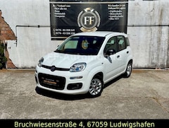 Bild des Angebotes Fiat New Panda 1.2 8V LOUNGE* 1 Hand*