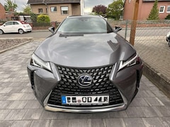 Bild des Angebotes Lexus UX 250h UX 250h Style Edition excl. 4 Alu Winterr. (5-6mm)