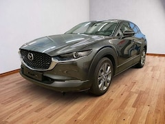 Bild des Angebotes Mazda CX-30 Centre-Line + Design-Paket