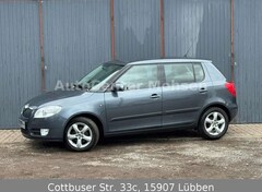 Bild des Angebotes Skoda Fabia Style Edition (Nr. 024)
