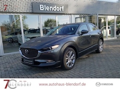 Bild des Angebotes Mazda CX-30 Selection 122 Navi|Kamera|Apple Carplay
