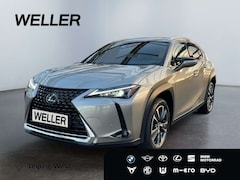 Bild des Angebotes Lexus UX 250h Style Edition *Bi-LED*ACC*CAM*SHZ*CarPlay*