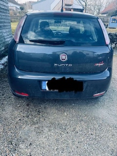 Bild des Angebotes Fiat Punto Street