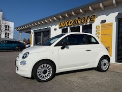 Bild des Angebotes Fiat 500 1.0 Mild Hybrid Basis 51 kW (70 PS), Schalt. 6-...